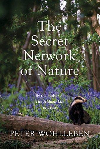 The Secret Network Of Nature